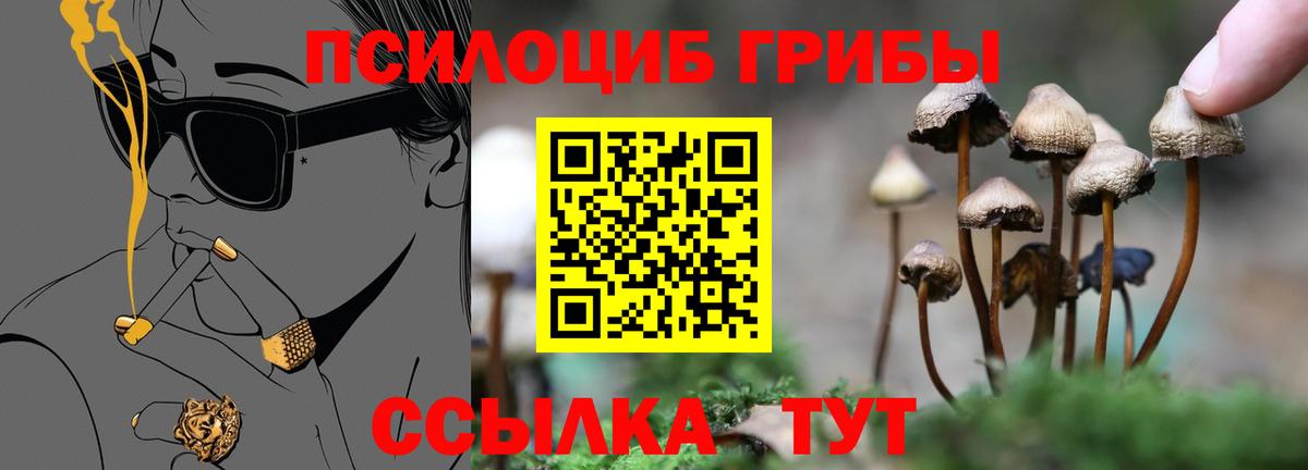 Галлюциногенные грибы ЛСД  Галлюциногенные грибы Magic Shrooms  Рубцовск  Вход с VPN 